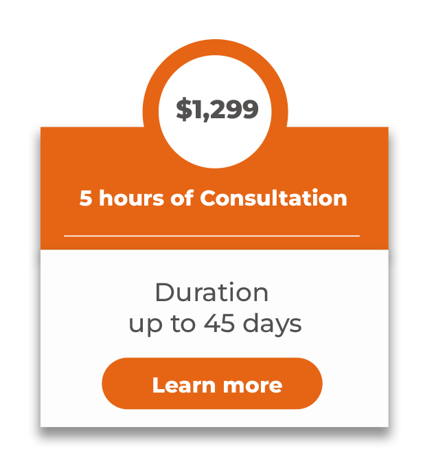 5 Hour Consultation